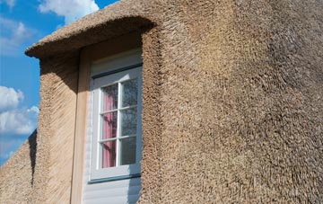 Carpalla thatch roof disadvantages